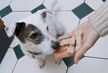 Hundekekse f&uuml;r Wuffi - Foto: Markus Scholz/dpa-tmn
