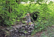 20250809_124334 - 1 - Carolin Brokmann-F&ouml;rster