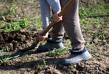 dig-3310867_1920 - Symbolfoto: Pixabay/AdinaVoicu