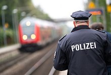 Hund f&auml;hrt alleine Zug - Foto: Jonas Walzberg/dpa/Symbolbild