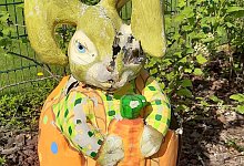 Waschb&auml;ren-Nachwuchs im Osterhasen - Walter R&ouml;der/dpa