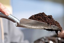 Eine Schippe Erde - Andrea Warnecke/dpa-tmn/dpa