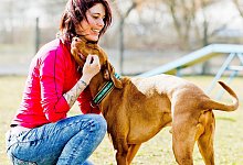 Ein Vizsla und seine Besitzerin - Monique Wüstenhagen/dpa.tmn/dpa-tmn
