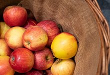 Frische Äpfel - Foto: Catherine Waibel/dpa-tmn