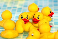 Quietscheenten - Foto: picture alliance/dpa/Symbolbild