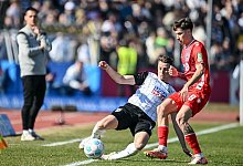 SSV Ulm 1846 - 1. FC K&ouml;ln - Harry Langer/dpa