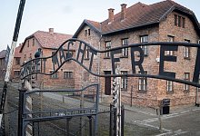 Antisemitische Schmierereien in Auschwitz-Birkenau - Foto: Kay Nietfeld/dpa