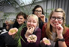 LZ-Dschungeltest - Preuss