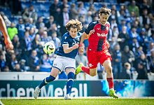250419-dsc-arminia-rostock-b-79 - Sarah Jonek