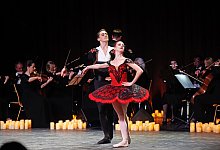 nic4107b - Nicole Ellerbrake