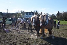 wendlinghausen-pferdestark-vorbereitung - Erhard Schroll