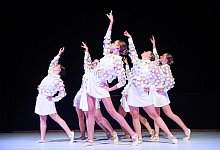 nic4955b - Nicole Ellerbrake