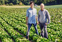 112a6096_filter - Turiel