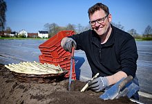 Spargelsaison ist eröffnet - Besuch auf Steinkrögers Hof - Barbara Franke