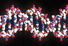 DNA-Strang - Matthew Fearn/PA/epa/dpa