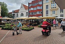 20250801_101404 - 1 - Astrid Sewing