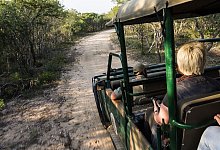 Kr&uuml;ger-Nationalpark - Foto: Philipp Laage/dpa-tmn/dpa