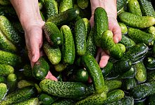 Was 2025 angesagt sein könnte - picture alliance / ZB