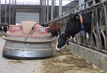 Roboter - Axel B&uuml;rger