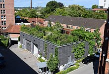 Ein begrüntes Garagendach - Bundesverband GebäudeGrün e.V./dpa-tmn