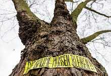 Protest gegen Fällung von Bäumen in Duisburg - Christoph Reichwein/dpa