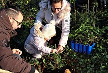 Baumpflanzaktion L&uuml;erdissen SPD - 1 - Fotorechte: SPD Lemgo