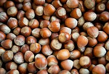 Haselnüsse - Lisa Ducret/dpa