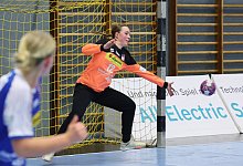 hsg-oldenburg - Paul Cohen