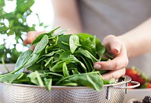 Als Salat oder püriert: Der Gründonnerstag als Spinattag - Christin Klose/dpa-tmn