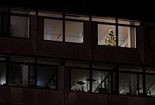 Ein Weihnachtsbaum im Büro - Marijan Murat/dpa/dpa-tmn