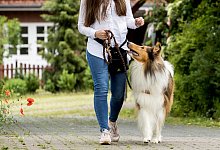 Besitzerin f&uuml;hrt Hund an Leine - Foto: Christin Klose/dpa-tmn