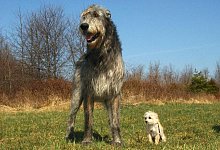 screenshot-2025-09-08-165321 - 1 - Symbolbild Pixabay