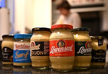 L&ouml;wensenf - Wolf von Dewitz/dpa