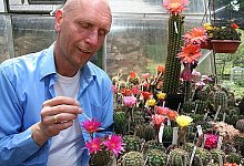 Klaus-Peter Mügge lässt "MEX.Hybriden" schützen - BAD SALZUFLEN