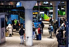 Reisende stehen vor den Fernbussen verschiedener Anbieter - Matthias Balk/dpa/dpa-tmn