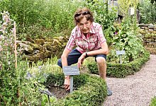 Gisela Renelt - Heidi Stork