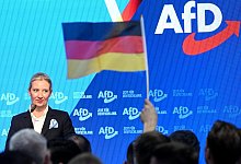 AfD-Chefin Alice Weidel - Julian Stratenschulte/dpa