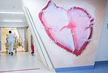 Herz - Foto: Christian Charisius/dpa/dpa-tmn