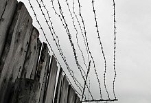 Stacheldraht - Matthias T&ouml;dt/dpa-Zentralbild/dpa