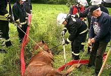 Allerlei Aufwand - FOTOS: FEUERWEHR SPENGE
