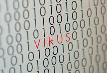 Computervirus - Foto: Sebastian Kahnert