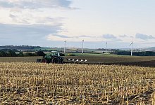 Maisfelder - Silke Buhrmester