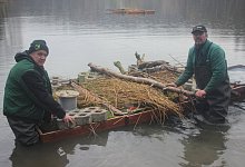 Hilfe f&uuml;r br&uuml;tende Enten - Reinhold S&ouml;lter