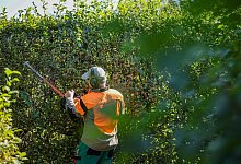 Überweisungen, Einreise, Zeit – was sich im Oktober ändert - Jan Woitas/dpa