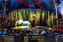 GERMANY-ANIMALS-CIRCUS-TECHNOLGY - AFP or licensors