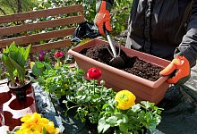 Torffreie Erden - Foto: Kai Remmers