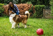 Eine Frau spielt mit einem Hund in einem Garten - Christin Klose/dpa-tmn