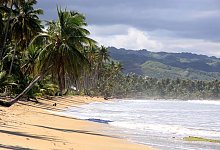 Strand in der Karibik - Manuel Meyer/dpa-tmn