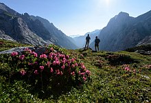 Wandern in der Zugspitz-Region - Foto: Wolfgang Ehn/Zugspitz Region/dpa-tmn