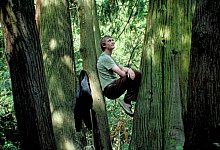 Kinostart - "Silent Friend" - -/Pandora Film/dpa